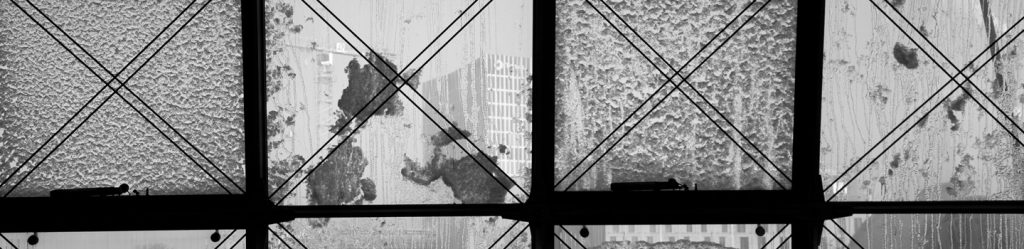 photography: Ellen Paschiller