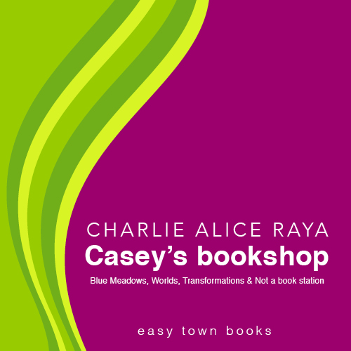 Casey's bookshop, cover